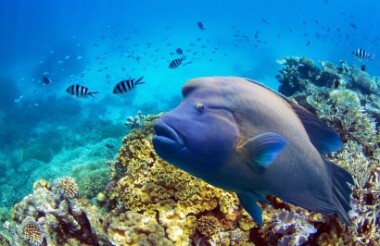 See all of New Zealand with a tailor-made package holiday