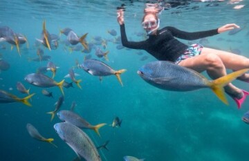 True North: Great Barrier Reef Ultimate Cruise - Day 7