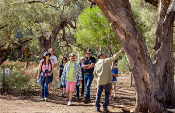 The Indian Pacific Meets Australia&rsquo;s Iconic Great Ocean Road - Day 12