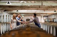 Great Terraced Vineyard Tour with Seppeltsfield Winery