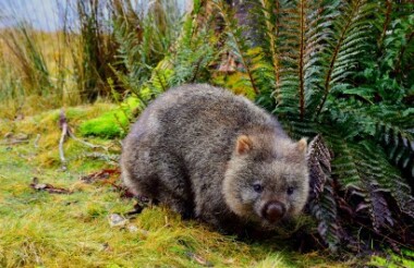 Discover everything New Zealand has to offer with these great vacation packages