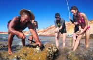 Wulyibidi (Francois Peron) 4WD Tour with Wula Gura Nyinda Eco Cultural Adventures - Lunch Included