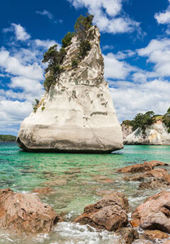 View of Cathedral Cove in Coromandel Peninsula