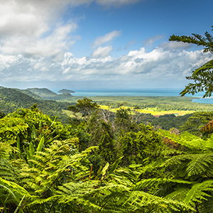 View over the Daintree Rainforest with Cape Tribularion on the horizon
