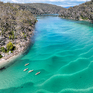 Kayakers paddling on the turquoise waters of the Pambula River surrounded by native bush