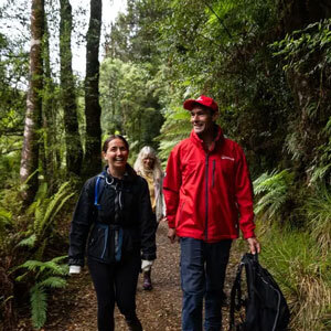 Guide leading guests on a rainforest walk to Montezuma Falls.
