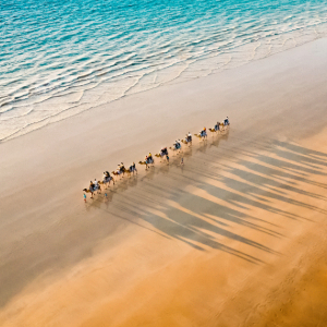 Line of camels walking along the beach with ocean in back