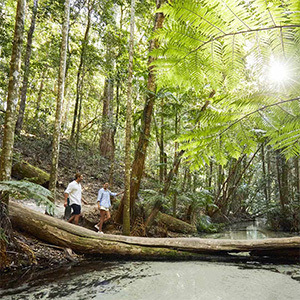 Couple walks on fallen log over shallow stream.