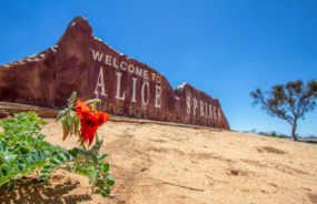 Alice Springs