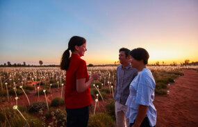 Bruce Munro&rsquo;s Field of Light