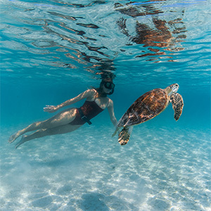 Woman snorkels alongside a sea turtle underwater.