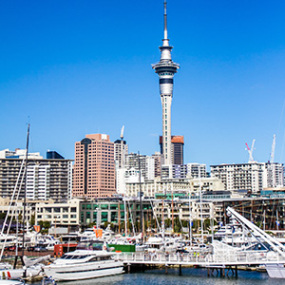 The Auckland Sky Tower stretching up over the city