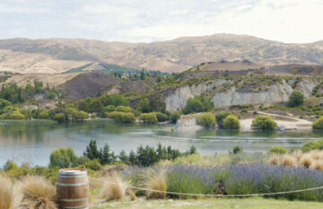 Southern South Island Highlights - Day 2
