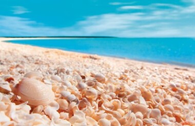 Discover everything New Zealand has to offer with these great vacation packages