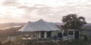 Wild Canvas - Pohutakawa Tent