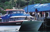 Akaroa Harbour Nature Cruise with Black Cat