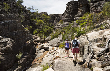 Explore New Zealand with these great holiday ideas