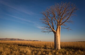 Outback Spirit - Jewels of the Kimberley & Faraway Bay - Day 9