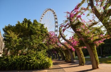 Australian East Coast Tour - Day 11