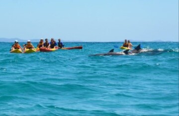 Australian East Coast Tour - Day 5