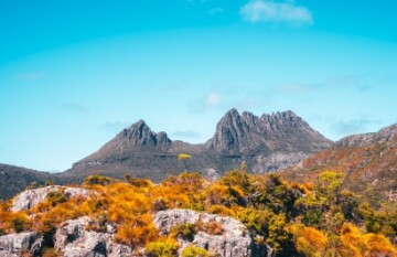 North Tasmania Tasting Trail - Day 10