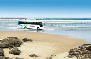 Extended New Zealand Tour - Day 28