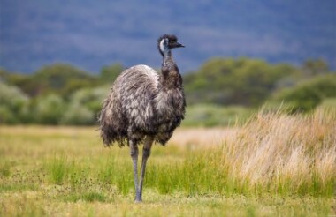 New Zealand holidays & tours