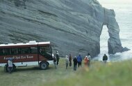 Farewell Spit Eco Tour with Collingwood Safari Tours - Lunch Included