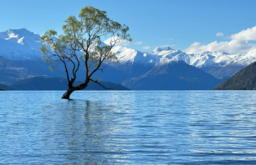 New Zealand North and South Island Grand Tourer - Day 23