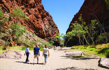NZ self drive itineraries and package holidays