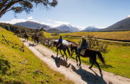 High Country Horses Glenorchy - Rees River Trail - Half-Day Trip