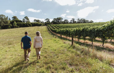 See all of New Zealand with a tailor-made package holiday