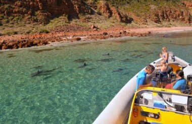 Discover everything New Zealand has to offer with these great vacation packages