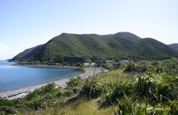 Cultural Threads of Aotearoa - Day 10