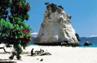 Nature & Coast Tour with Kiwi Dundee - Lunch Included