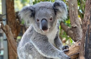 New Zealand holidays & tours