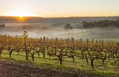 Discover everything New Zealand has to offer with these great vacation packages