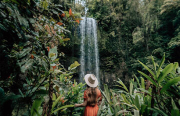 Cairns: Waterfall, Reef & Rainforest Trail - Day 5