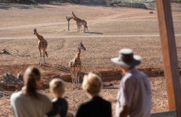 Australian Wildlife Family Tour - Day 2