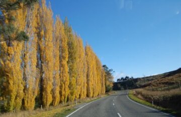 Pure Discoveries Matai Tour - Day 5