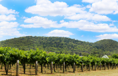 New Zealand holidays & tours