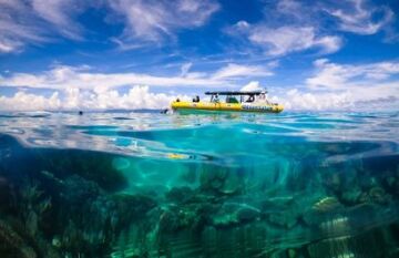 Tropical Reef and Rainforest Tour - Day 7