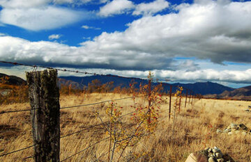 The Heart of Central Otago - Day 6