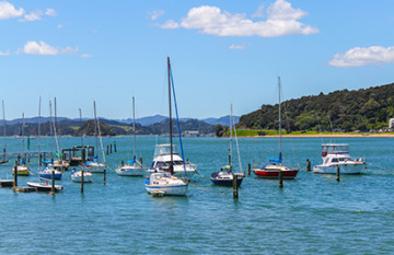 Bay of Islands Short Break - Day 1