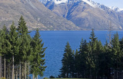 Queenstown Golfing Getaway - Day 3