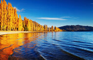 Lake Cruise and Island Nature Walk with Eco Wanaka