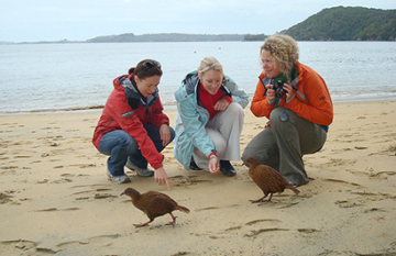 Pure New Zealand - Day 31