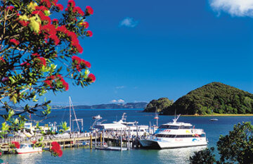 New Zealand North and South Island Grand Tourer - Day 3