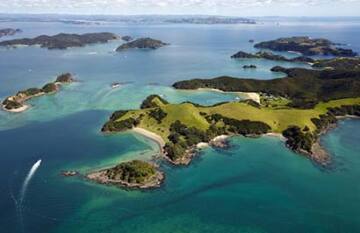 Discover Bay of Islands Tour - Day 3