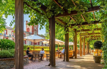 Flinders Ranges & Barossa Valley Ultimate Treat - Day 6